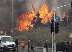 Wild fire in Jerusalem