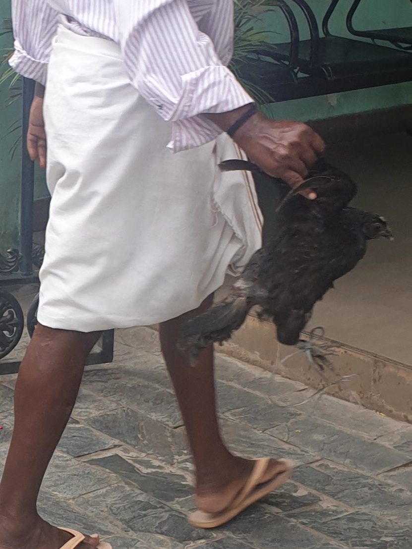 Man with black hen